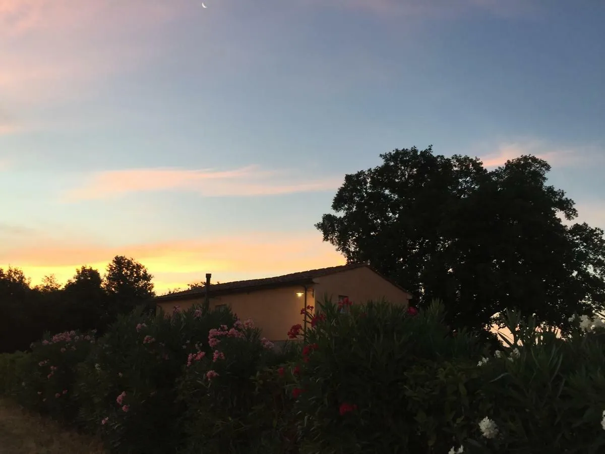 Farm stay Agriturismo Pieve De Pitti Villa Terricciola Italy