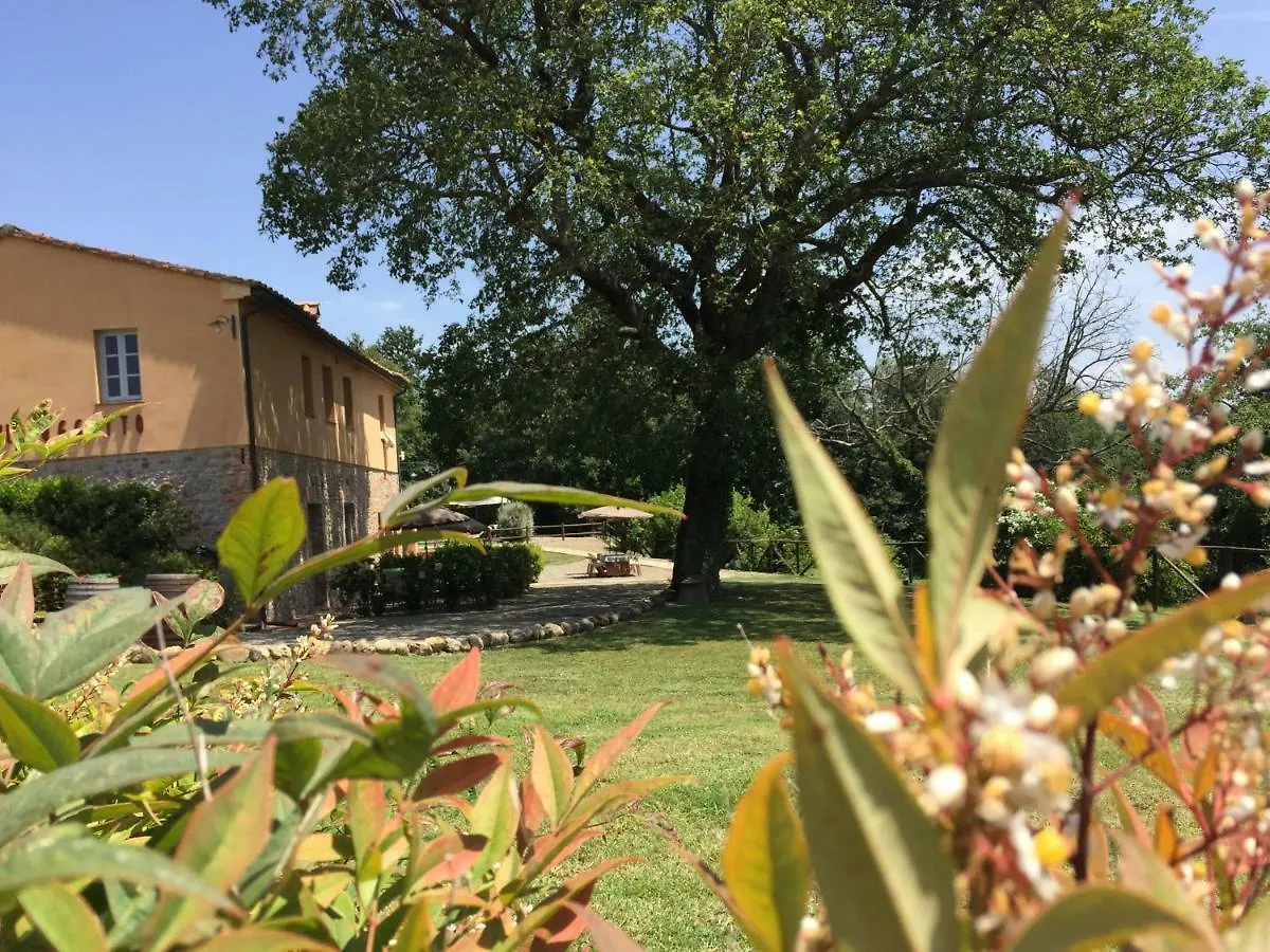 Agriturismo Pieve De Pitti Villa Terricciola Italy