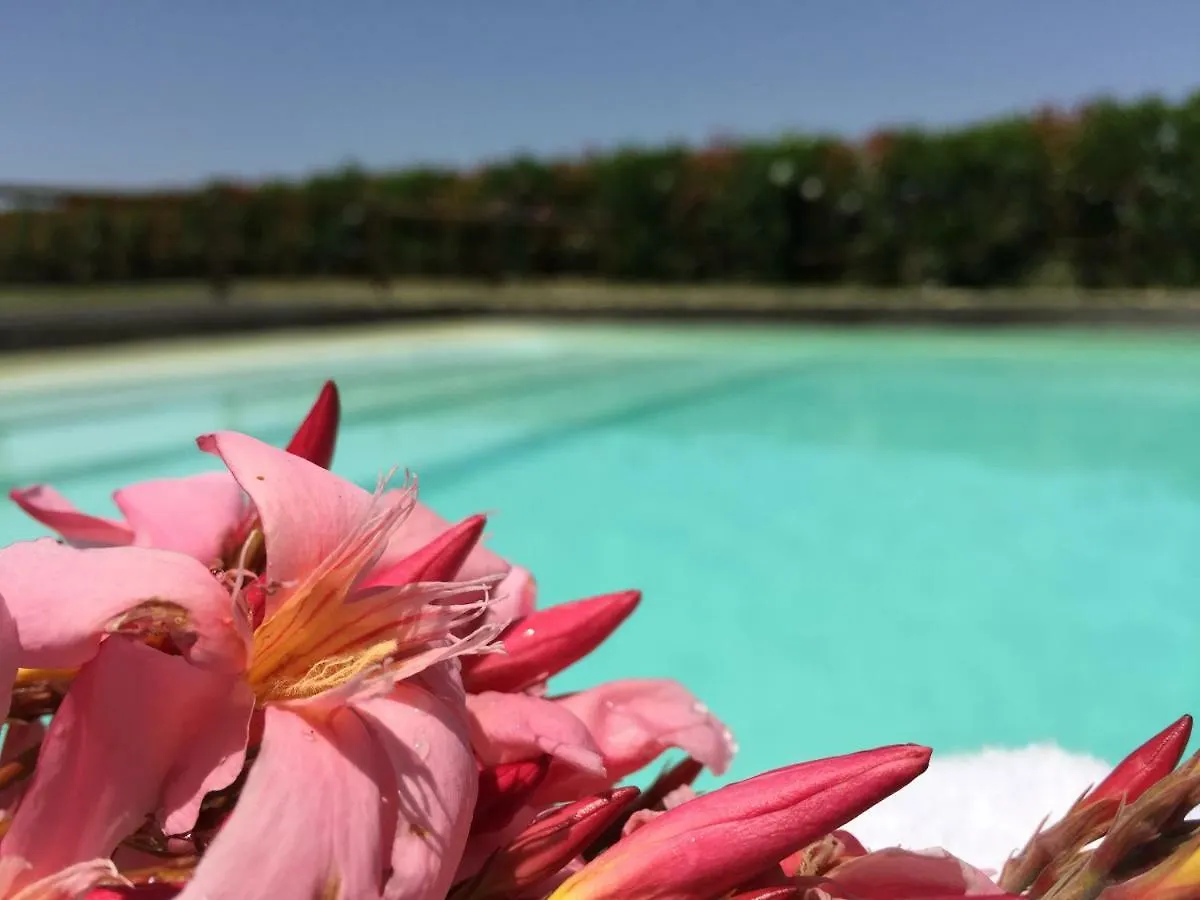Agriturismo Pieve De Pitti Villa Terricciola 0*,  Italy