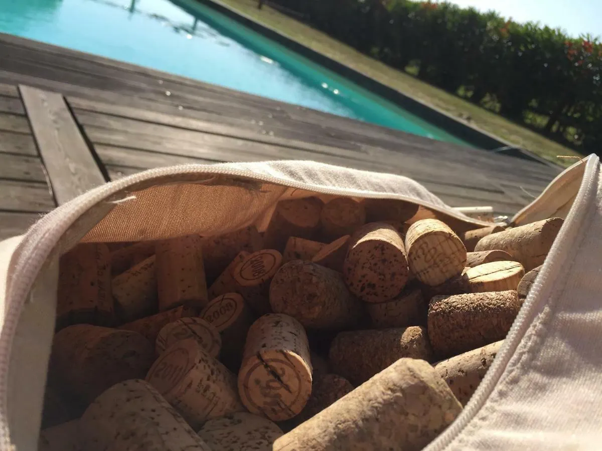 Agriturismo Pieve De Pitti Villa Terricciola